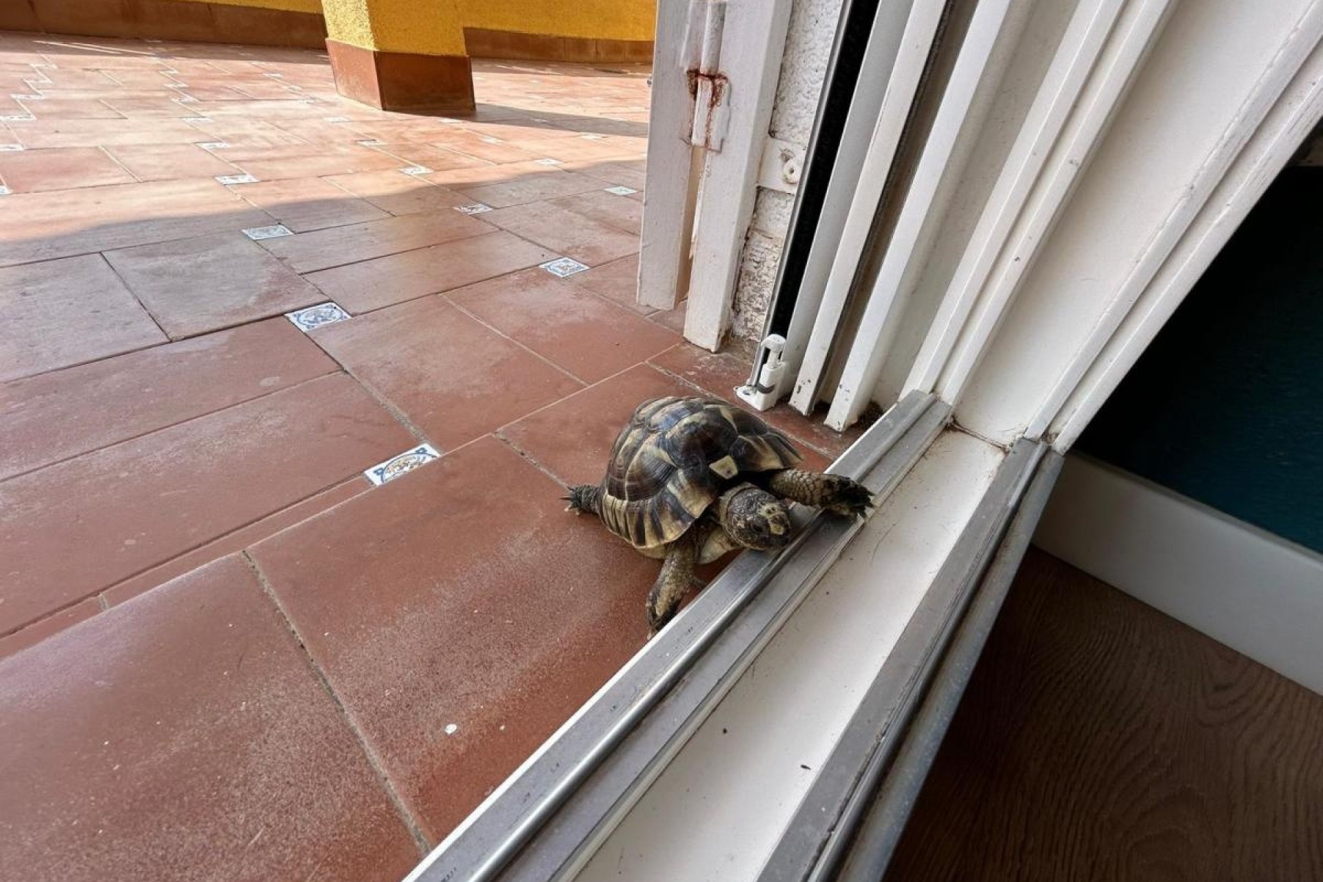 Herverkoop - Vrijstaande Villa -
San Miguel de Salinas