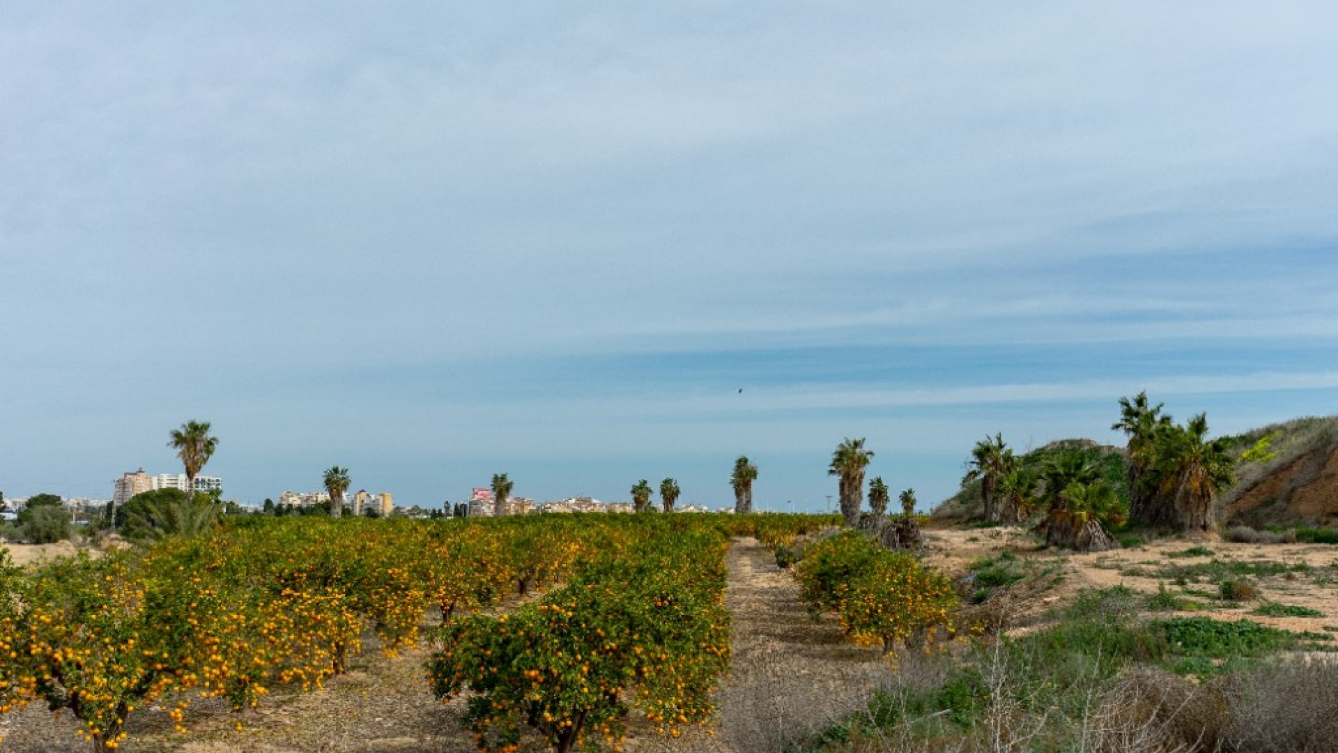 Herverkoop - Vrijstaande Villa -
Torrevieja - Los altos