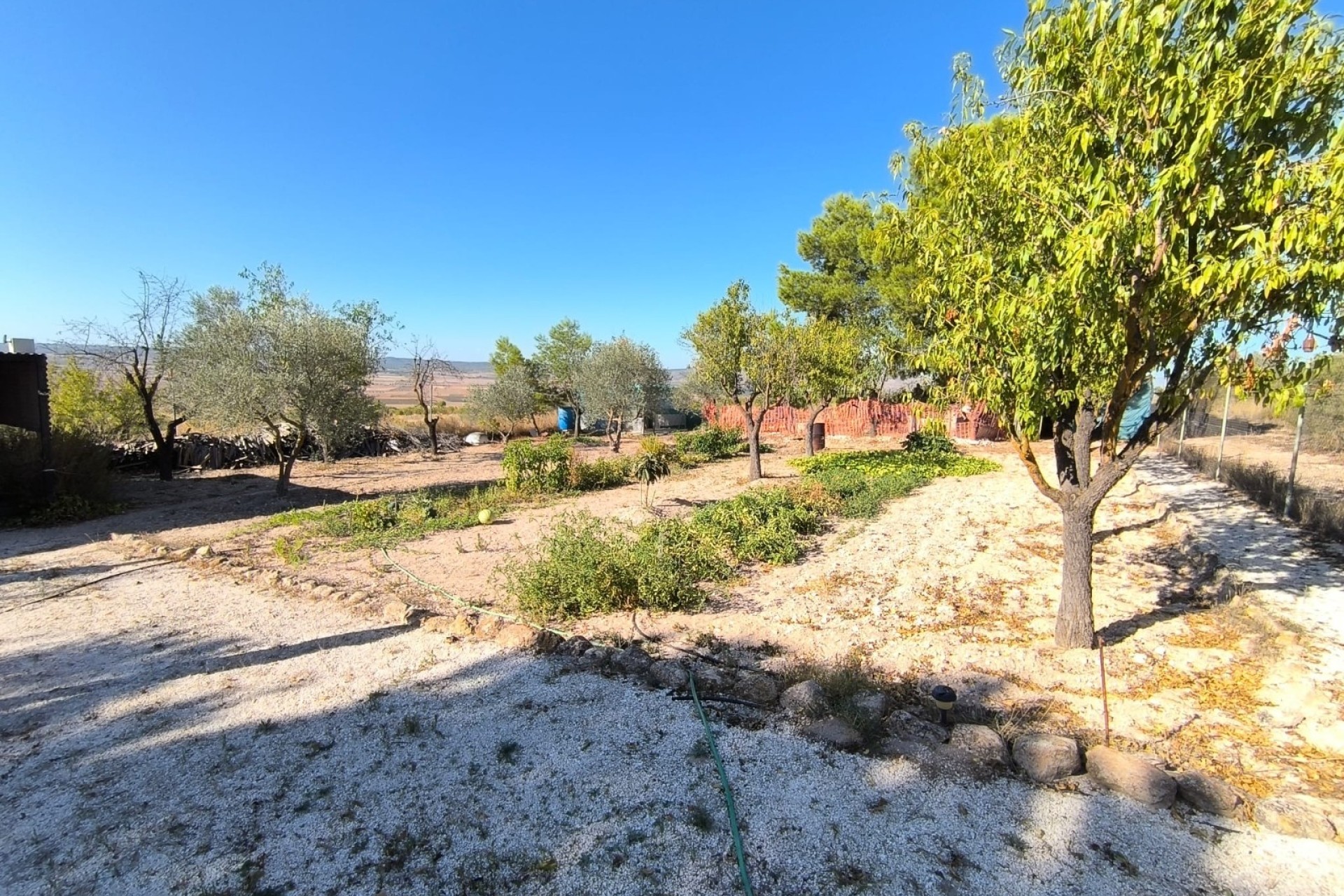 Herverkoop - Vrijstaande Villa -
Yecla - Inland