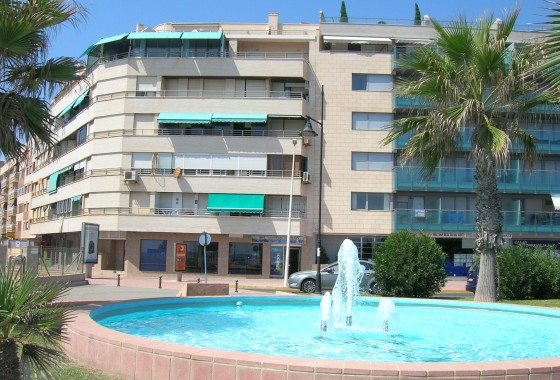 Kommerziell - Wiederverkauf - Torrevieja - Torrevieja