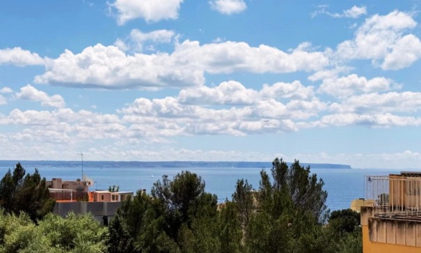 Lägenhet lägenhet - Återförsäljning - Palma - Sant Agustí