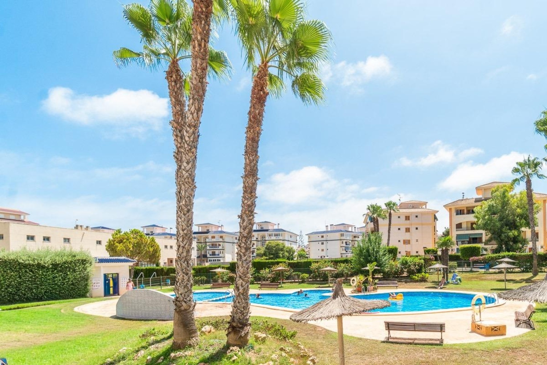 Location longue durée - Appartement -
Torrevieja - La Mata