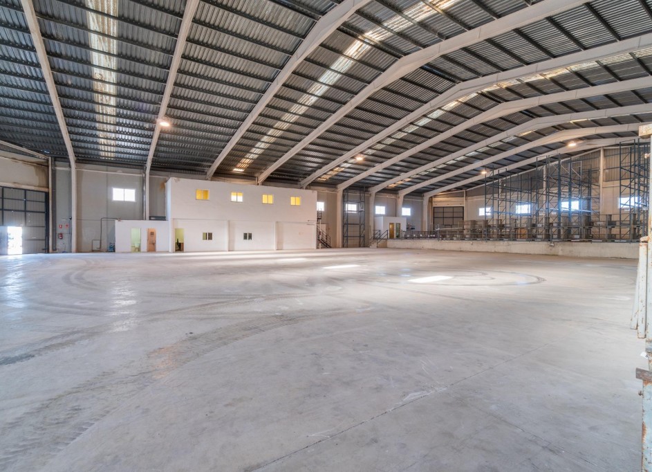 Long time Rental - Kommerciel -
Pilar de la Horadada - Polígono industrial Cañada de Práez