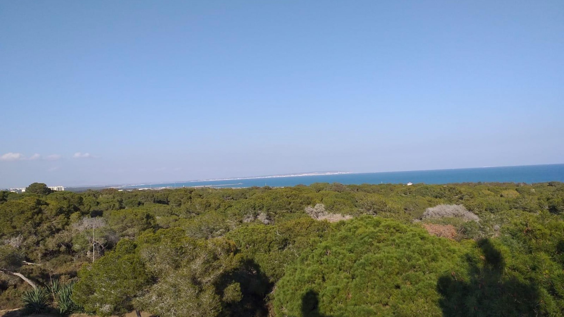 New Build - Apartment Flat -
Guardamar del Segura - Pueblo