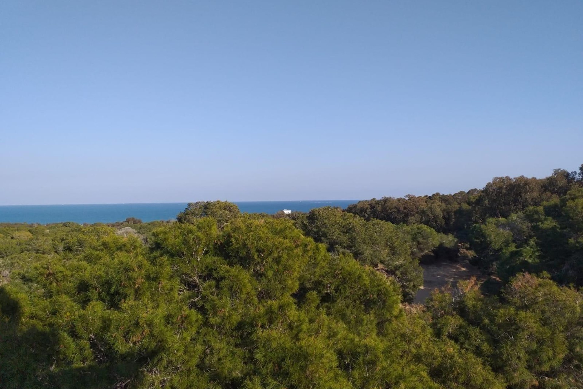 New Build - Apartment Flat -
Guardamar del Segura - Pueblo