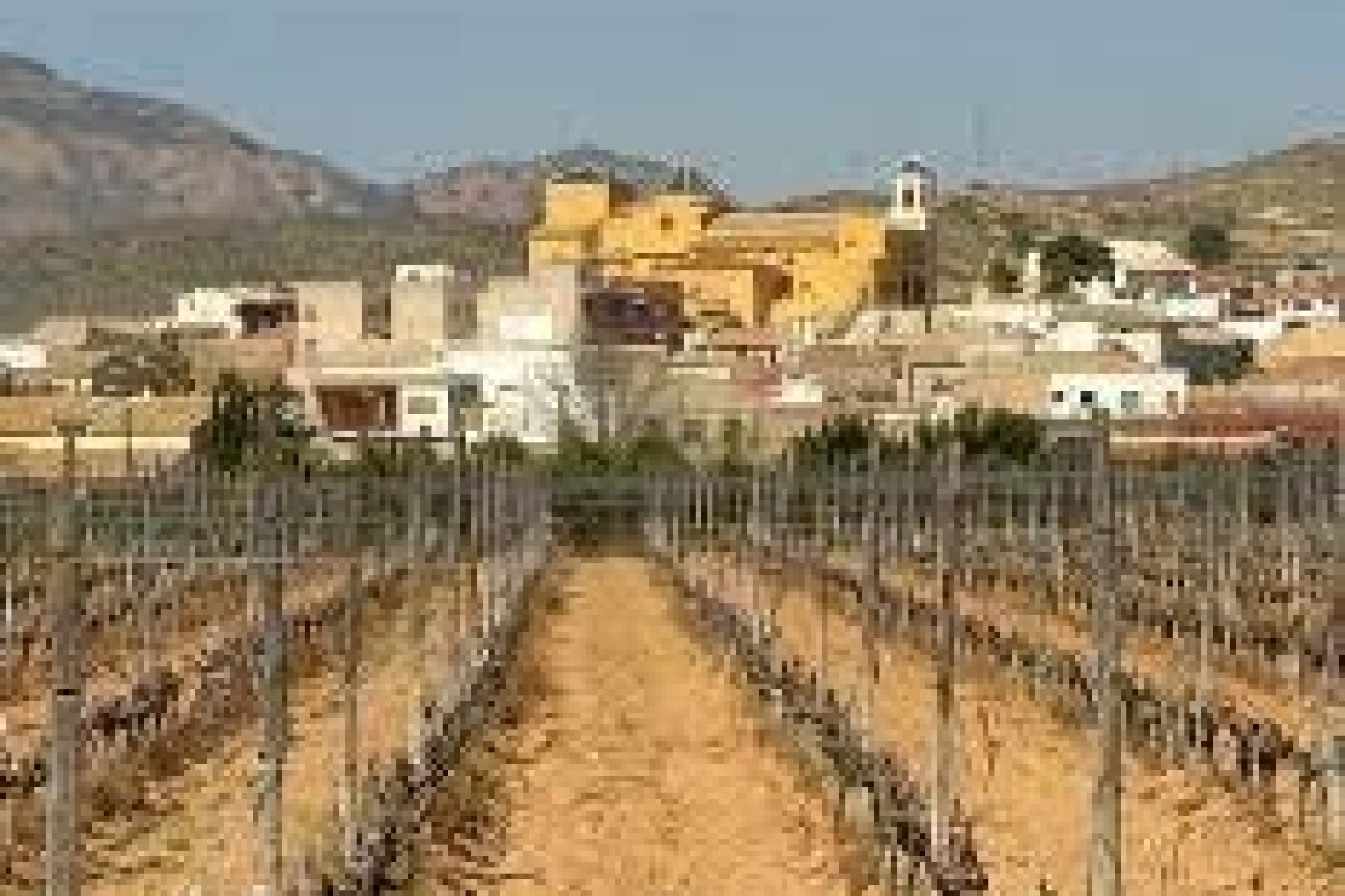 New Build - Apartment Flat -
Hondón de las Nieves - El Salero