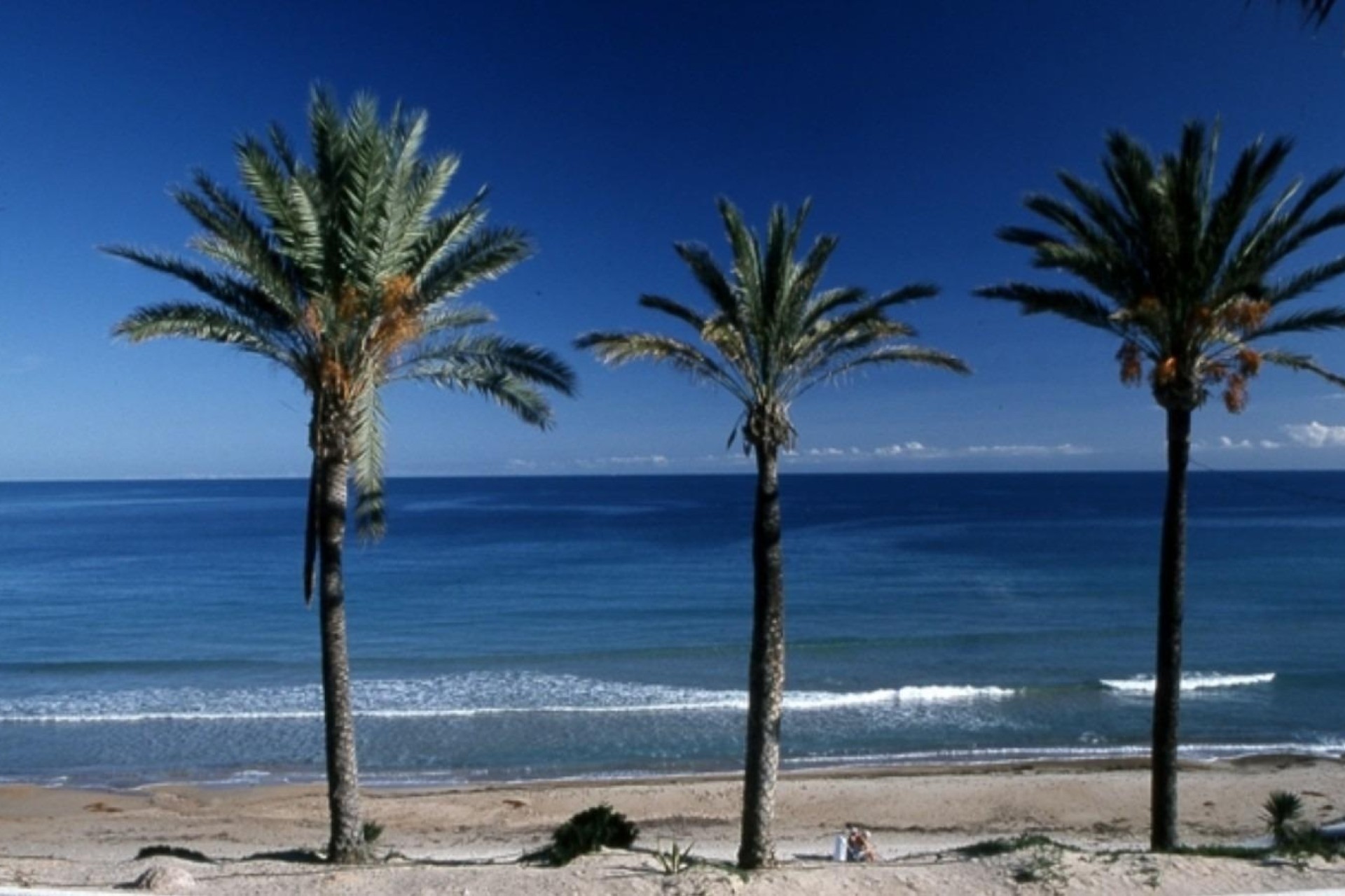 New Build - Apartment Flat -
Pilar de la Horadada - Parque Ramon eugenio Escudero