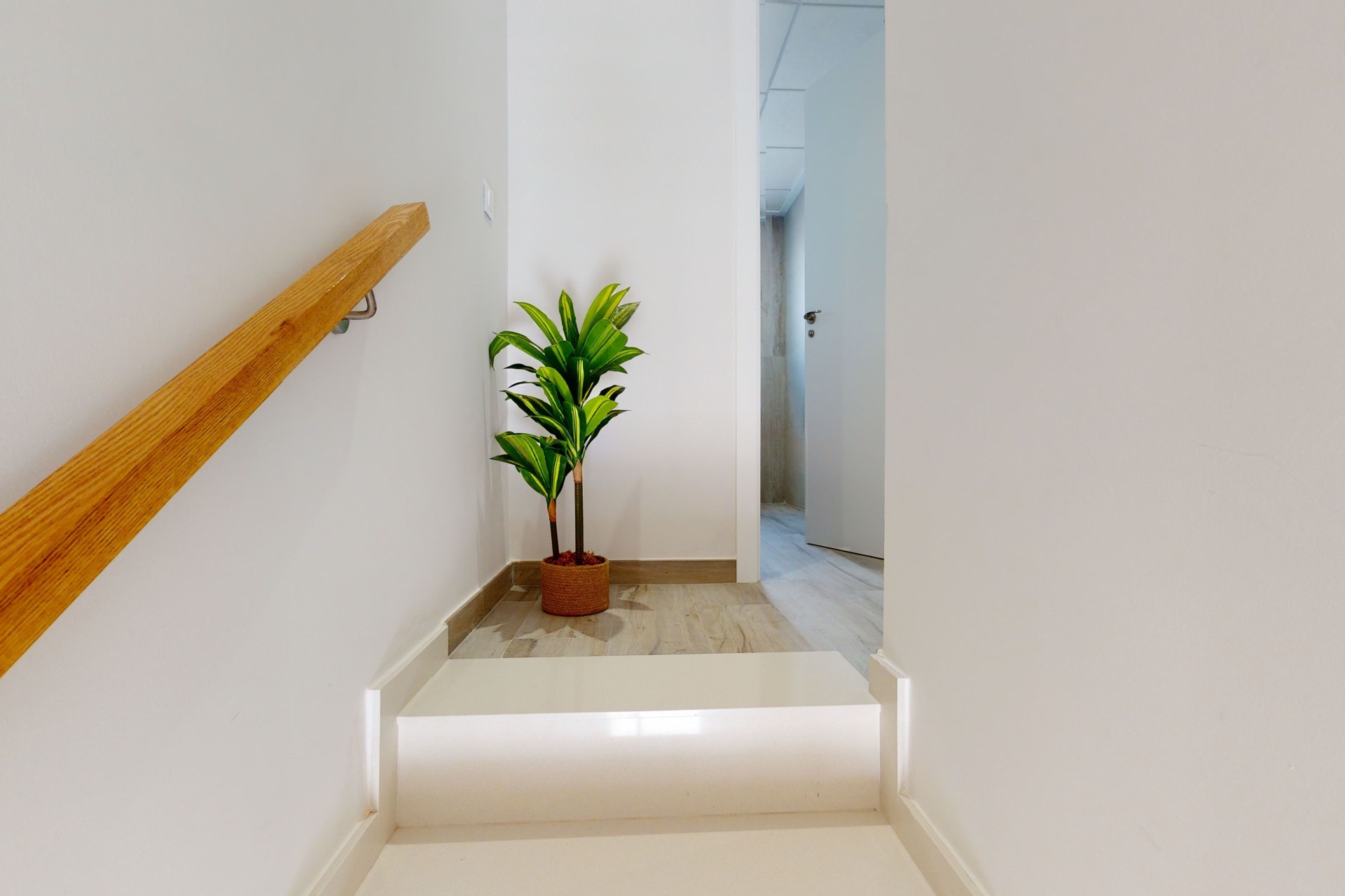 New Build - Apartment / Flat -
Pilar de la Horadada