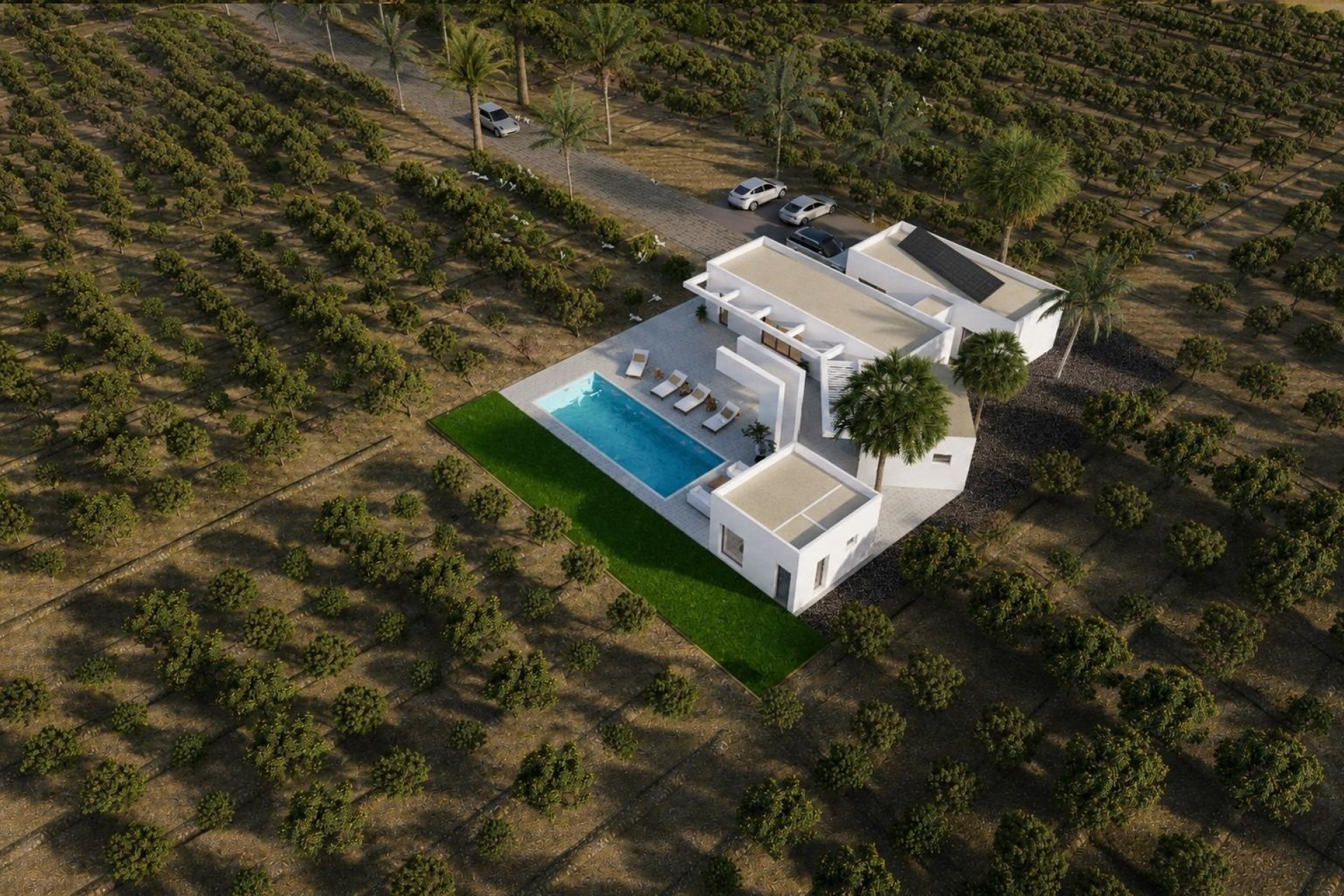 New Build - Detached Villa -
Benejúzar - alta