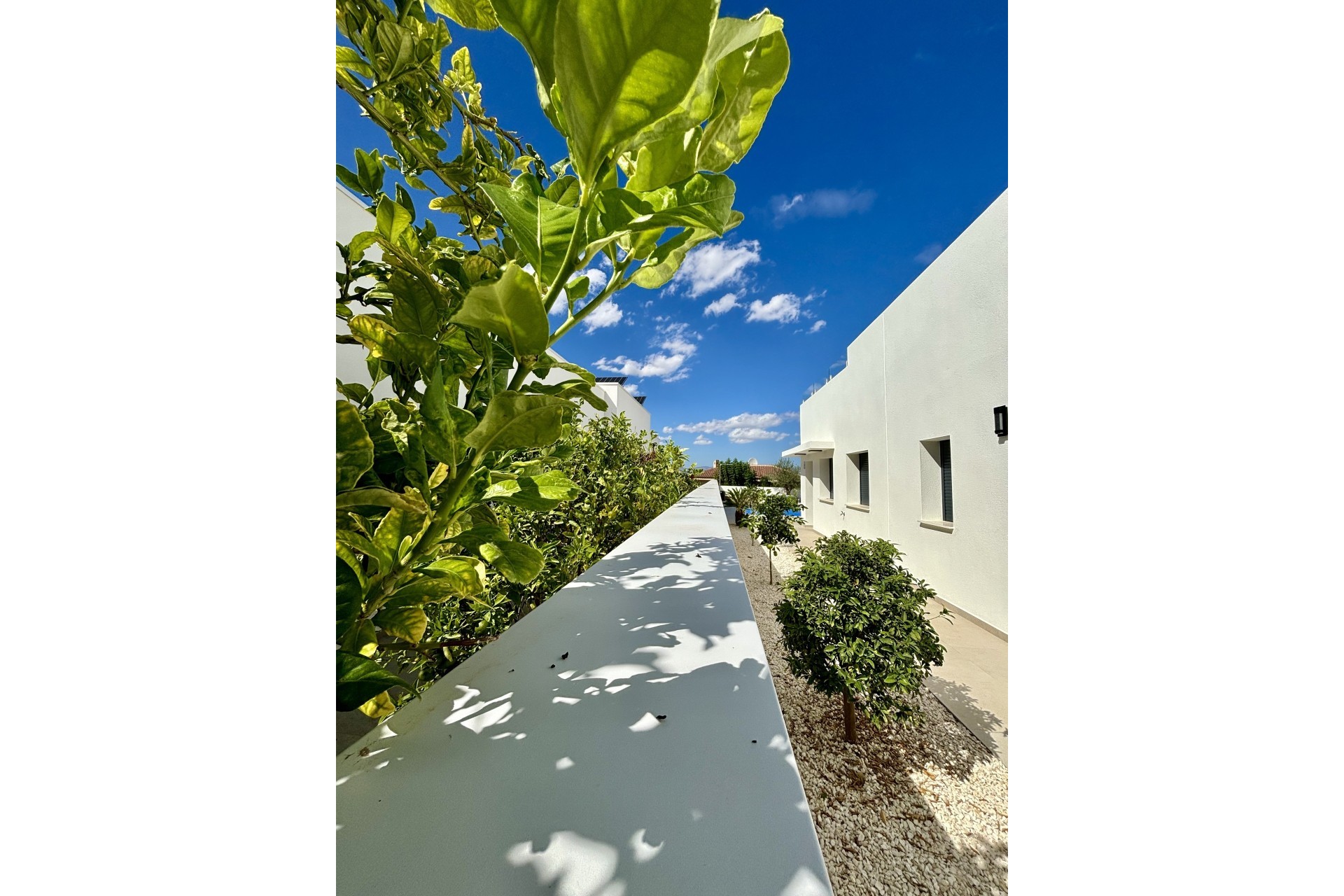 New Build - Detached Villa -
Benijofar