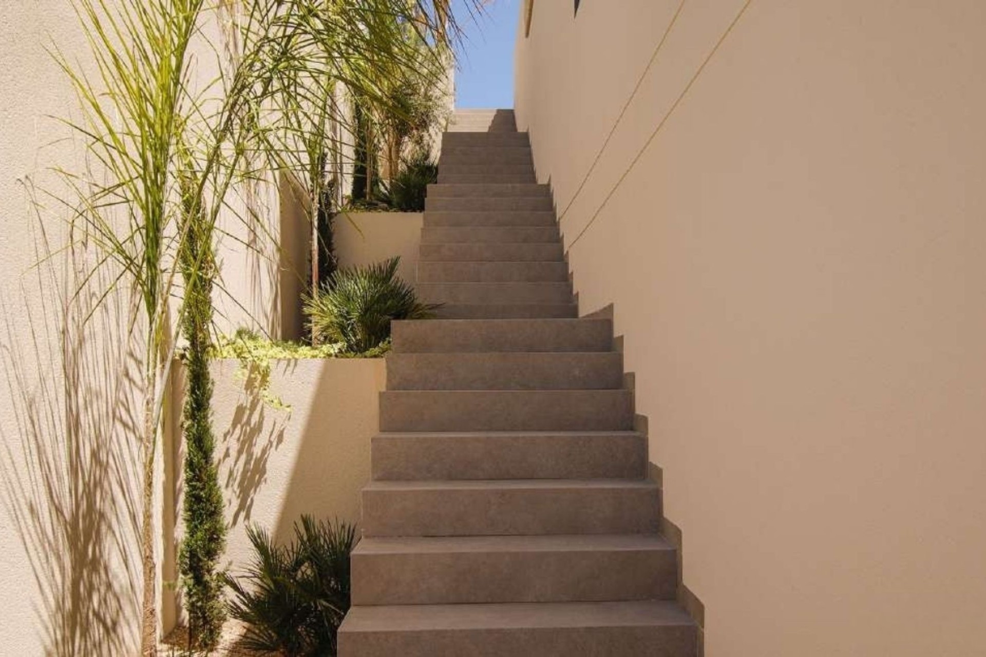 New Build - Detached Villa -
La Marina
