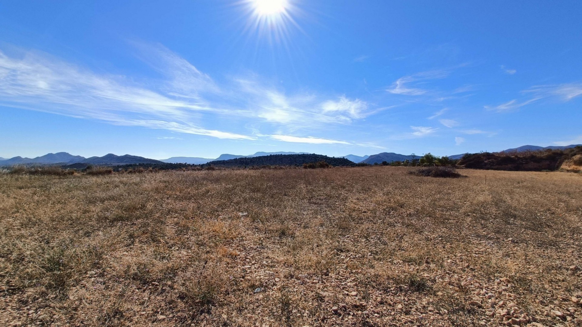 New Build - Detached Villa -
Novelda