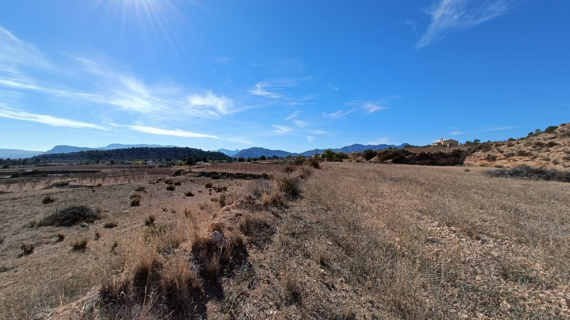 New Build - Detached Villa -
Novelda