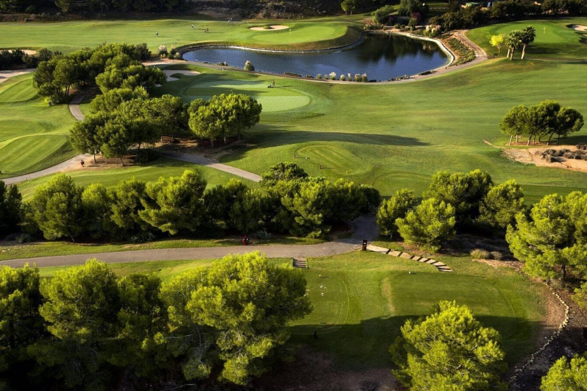 New Build - Detached Villa -
Pilar de la Horadada - Lo Romero Golf