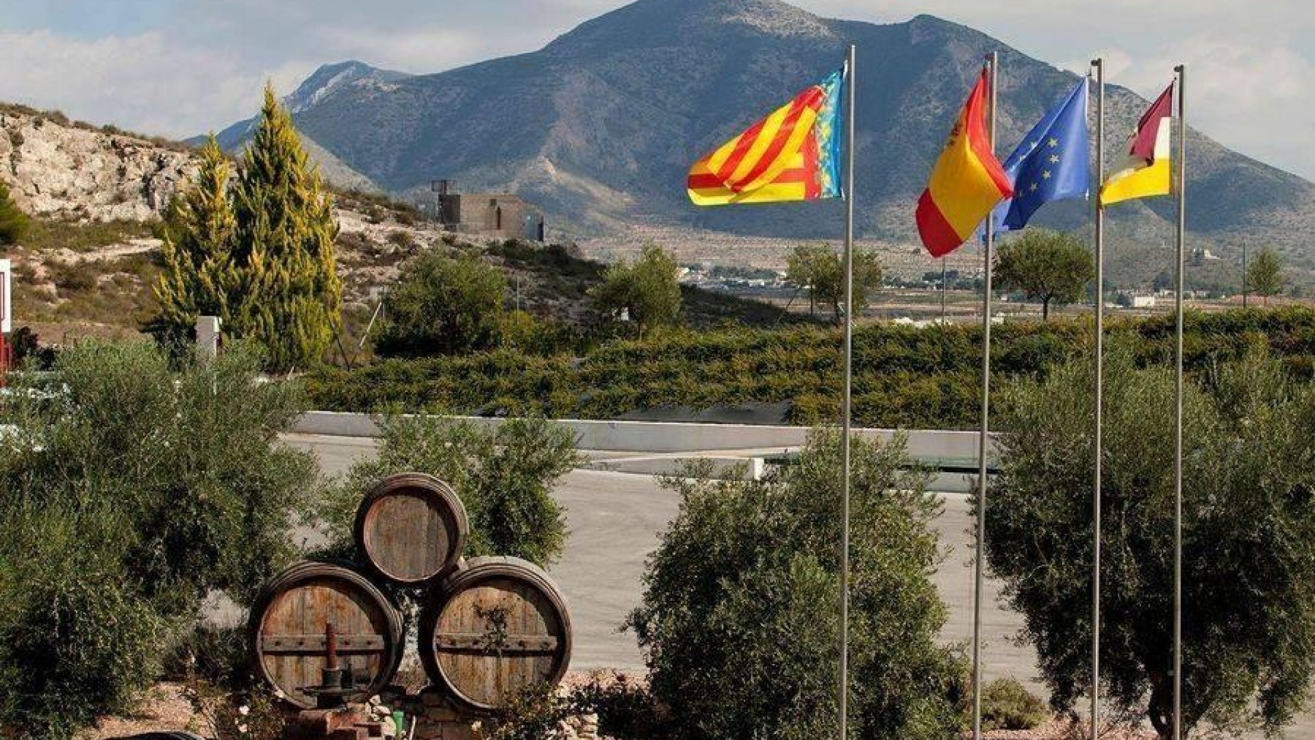 New Build - Detached Villa -
Pinoso - Campo