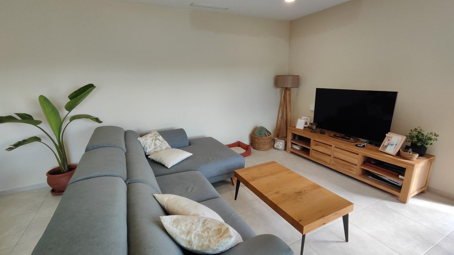 New Build - Detached Villa -
Pinoso - Campo