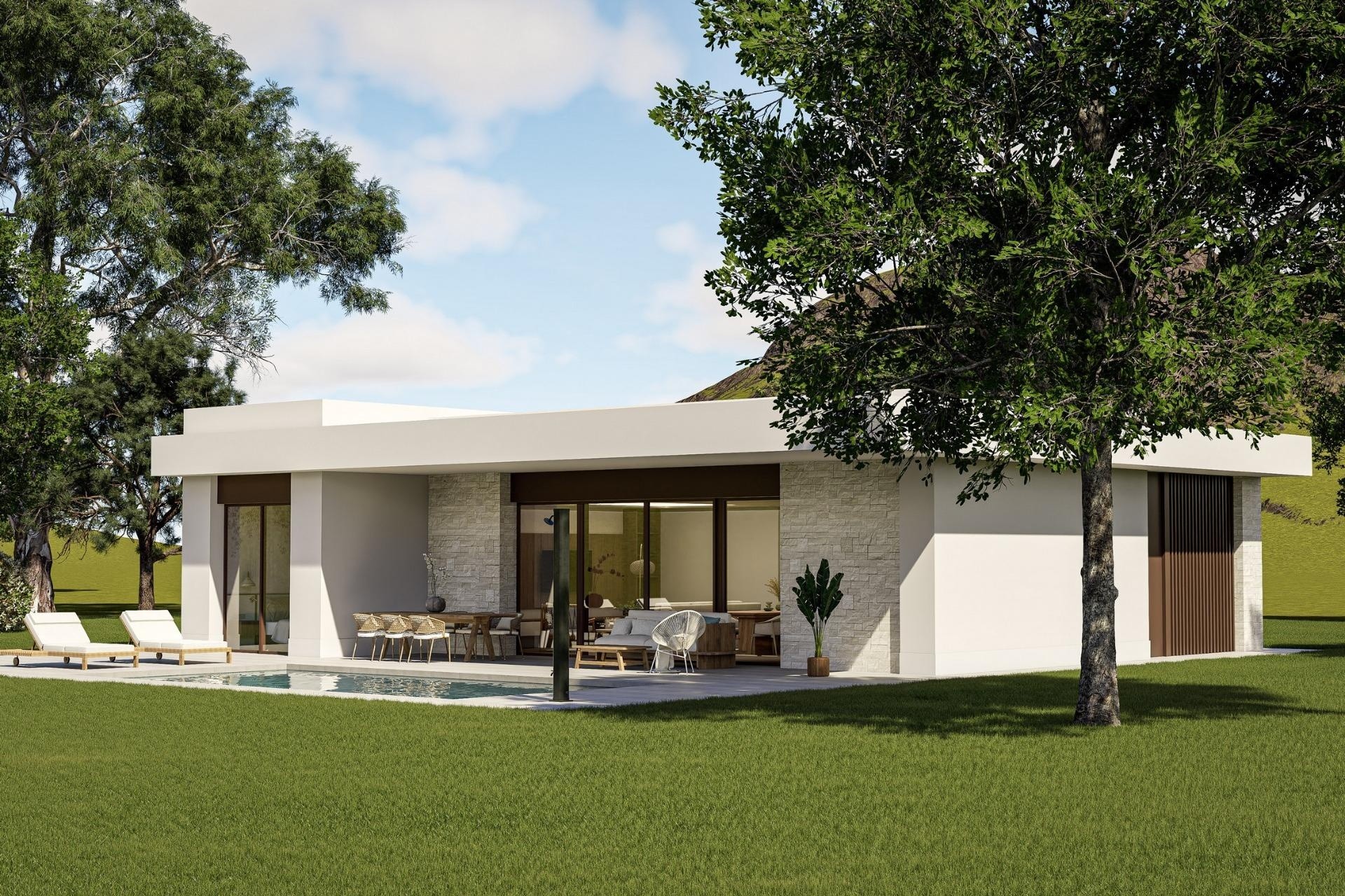 New Build - Detached Villa -
Pinoso - Lel