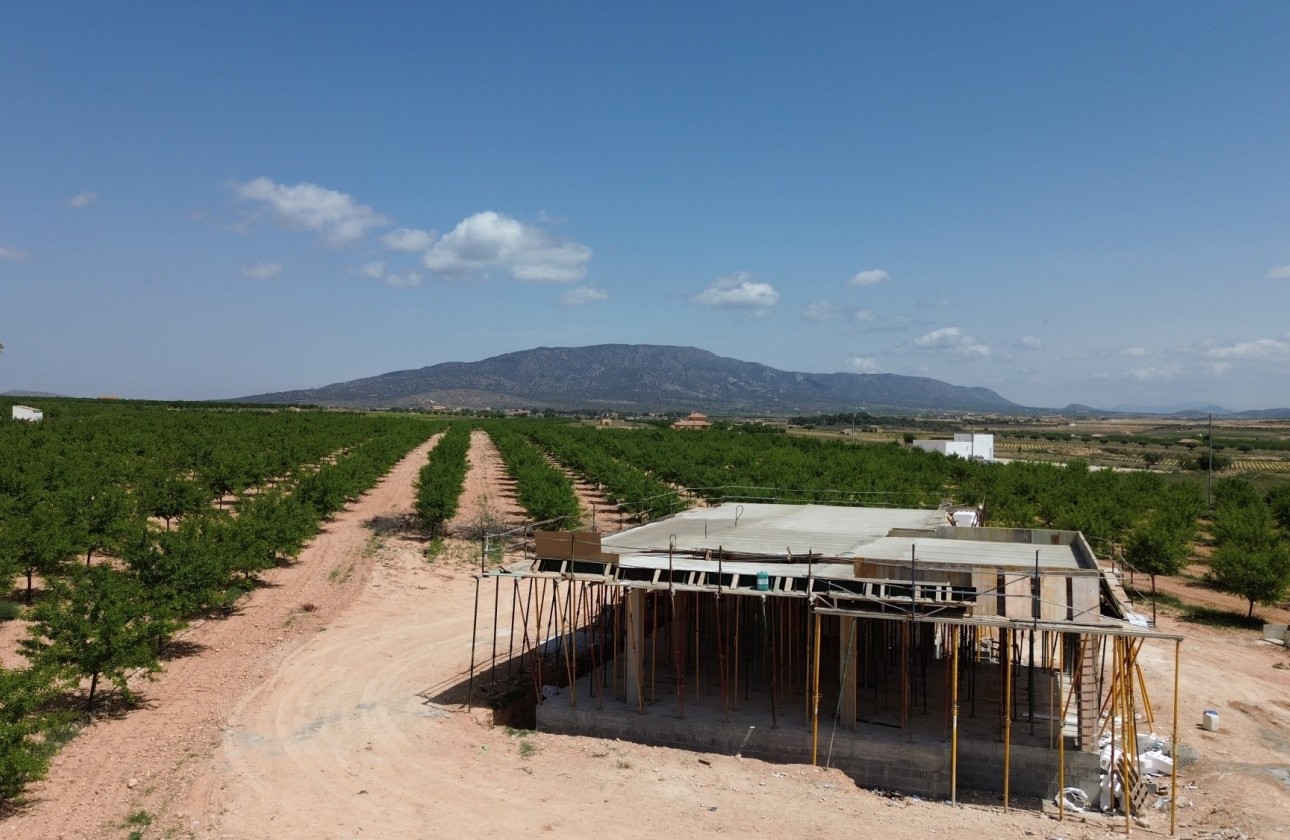 New Build - Detached Villa -
Pinoso