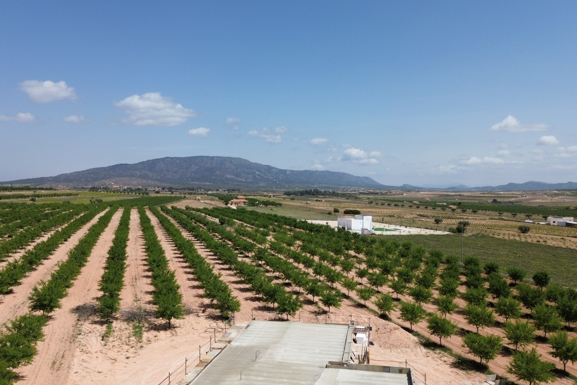 New Build - Detached Villa -
Pinoso