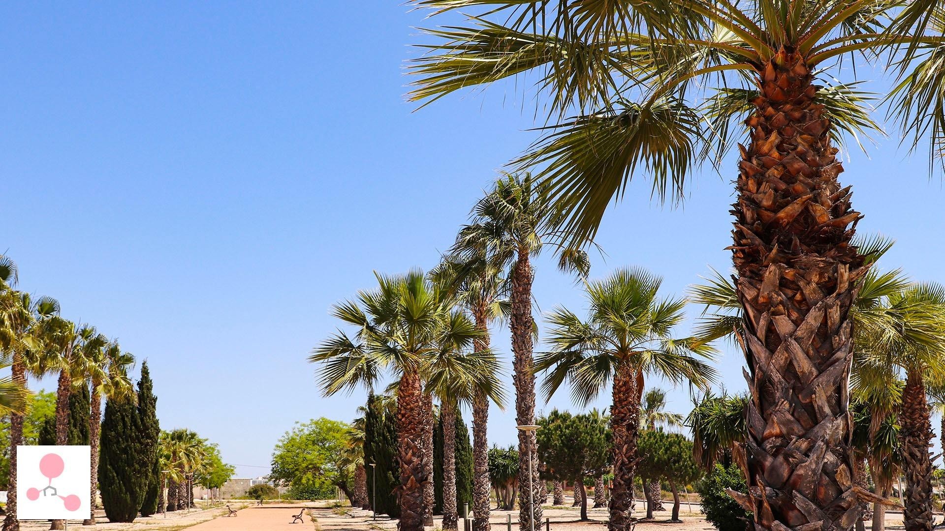 New Build - Detached Villa -
San Fulgencio - La Escuera