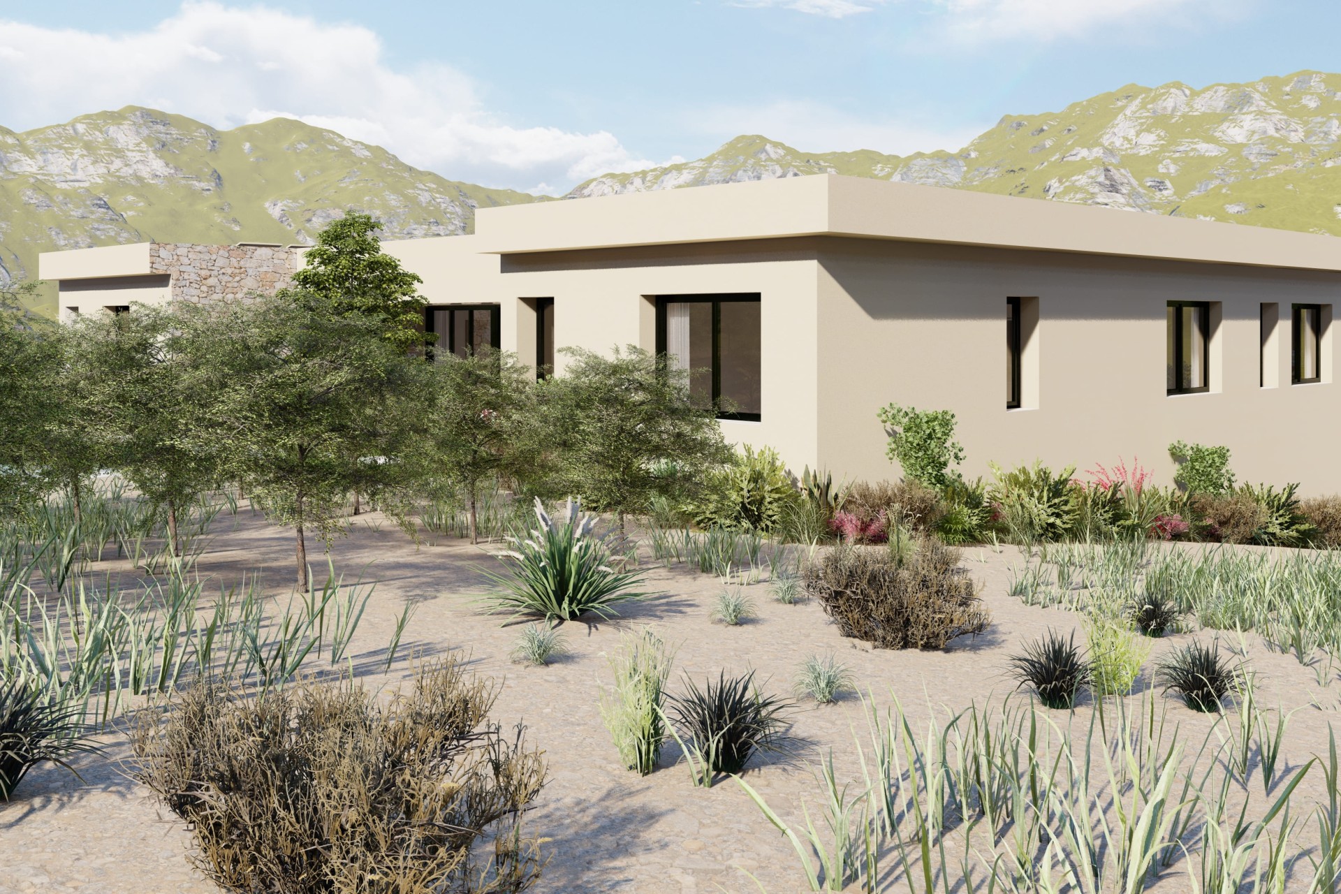 New Build - Detached Villa -
Yecla