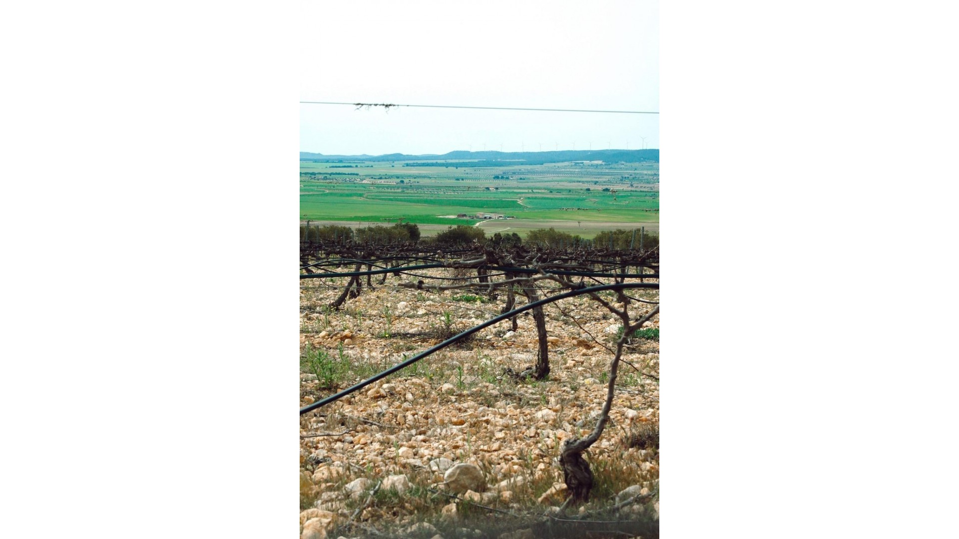 New Build - Detached Villa -
Yecla