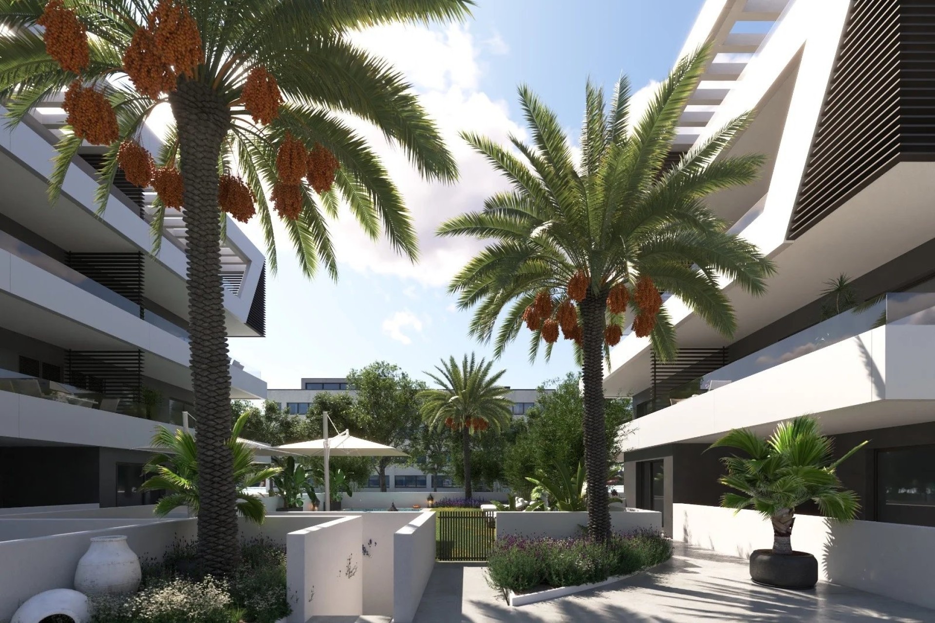 New Build - Erdgeschoss -
San Juan de Alicante - Sant Joan d'Alacant