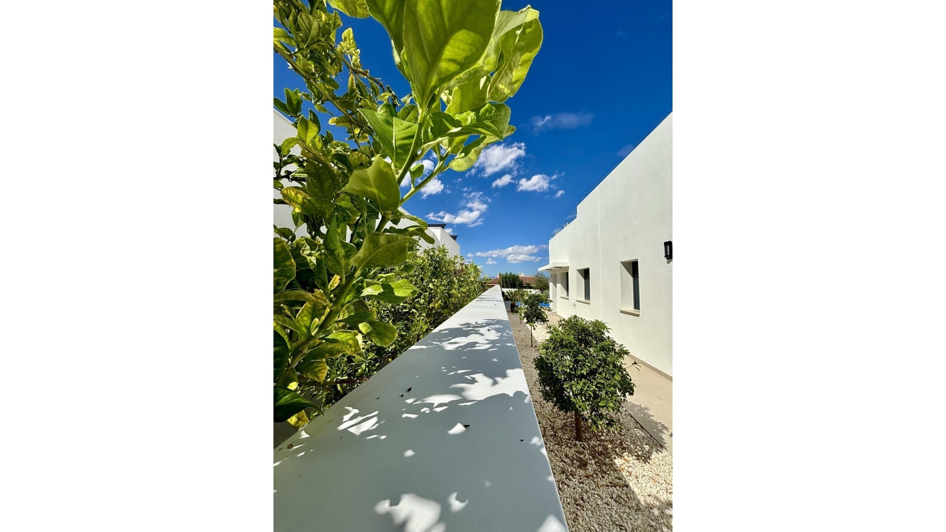 New Build - Freistehende Villa -
Benijofar