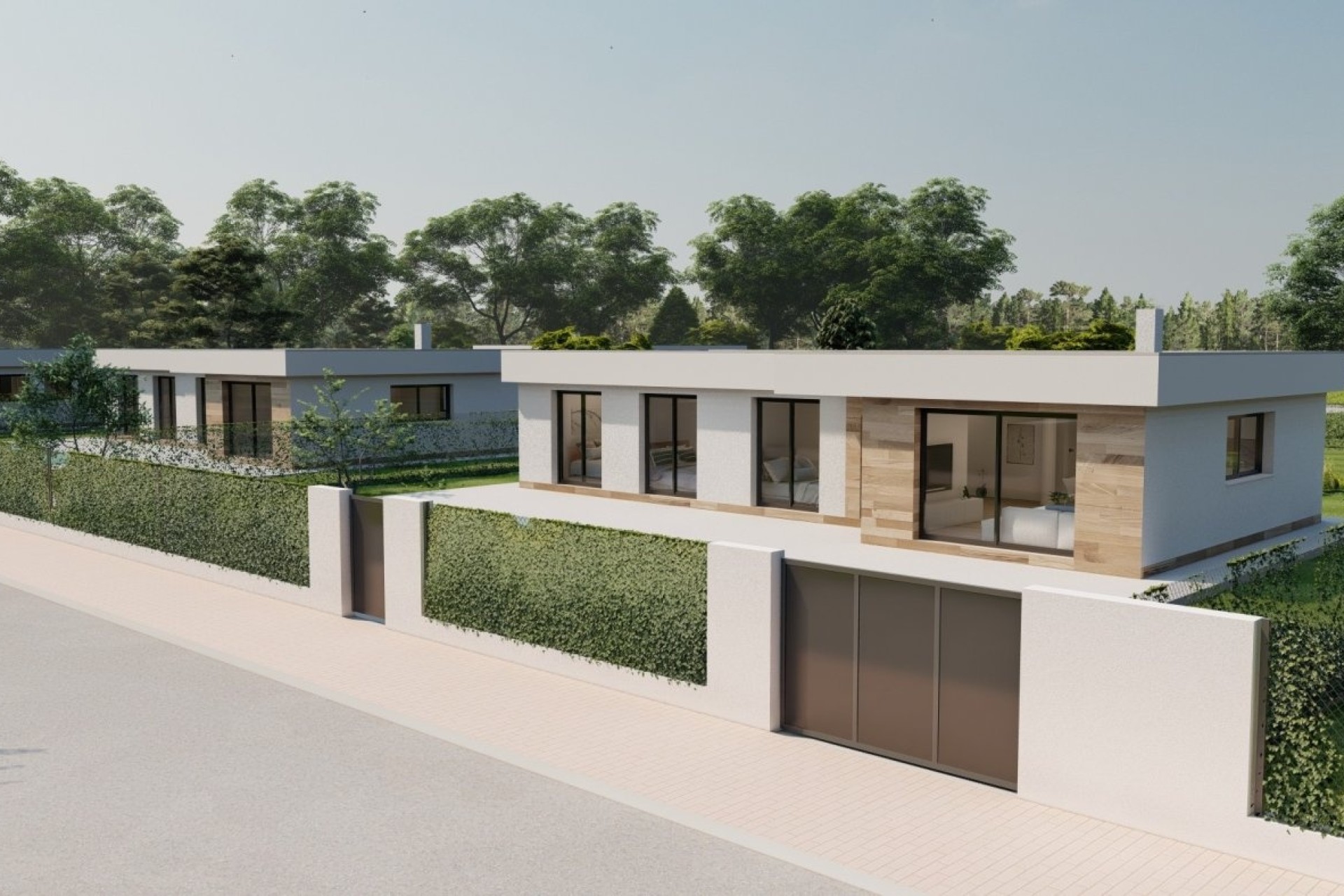 New Build - Freistehende Villa -
Calasparra - Coto riñales
