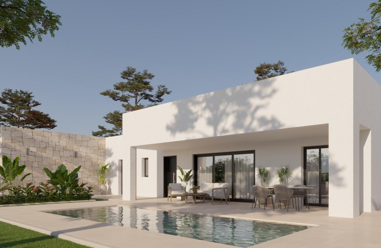 New Build - Freistehende Villa -
La Romana