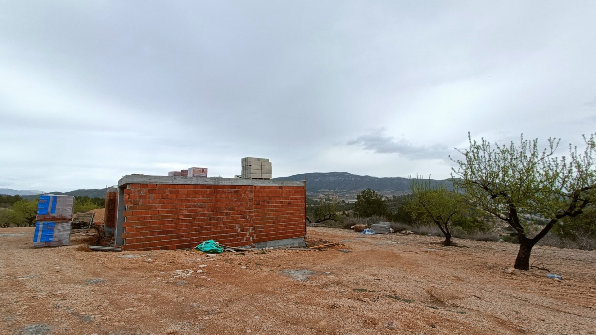 New Build - Freistehende Villa -
La Romana