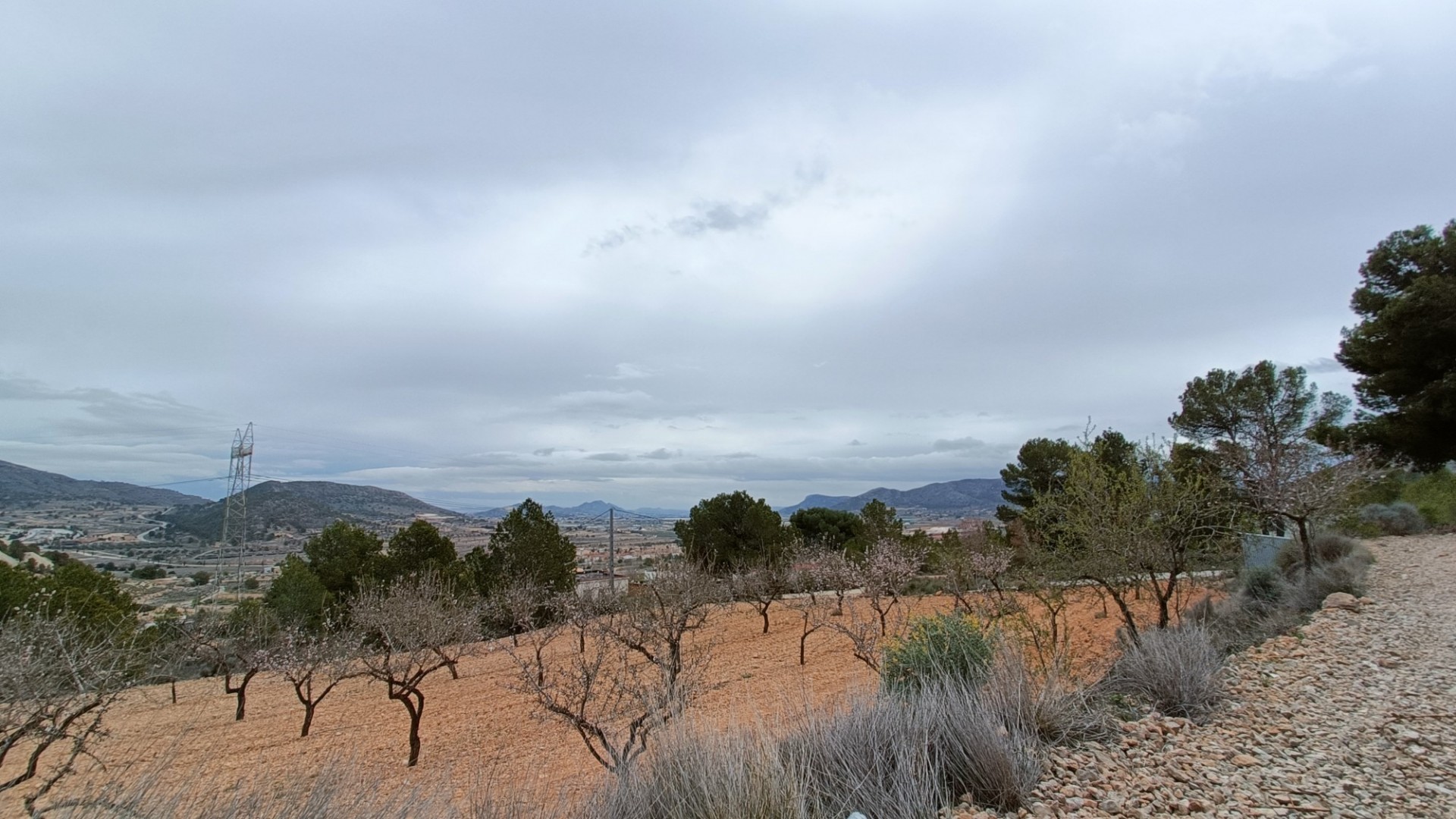 New Build - Freistehende Villa -
La Romana