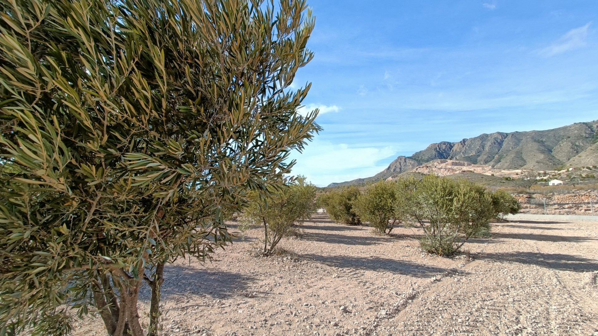 New Build - Freistehende Villa -
Macisvenda