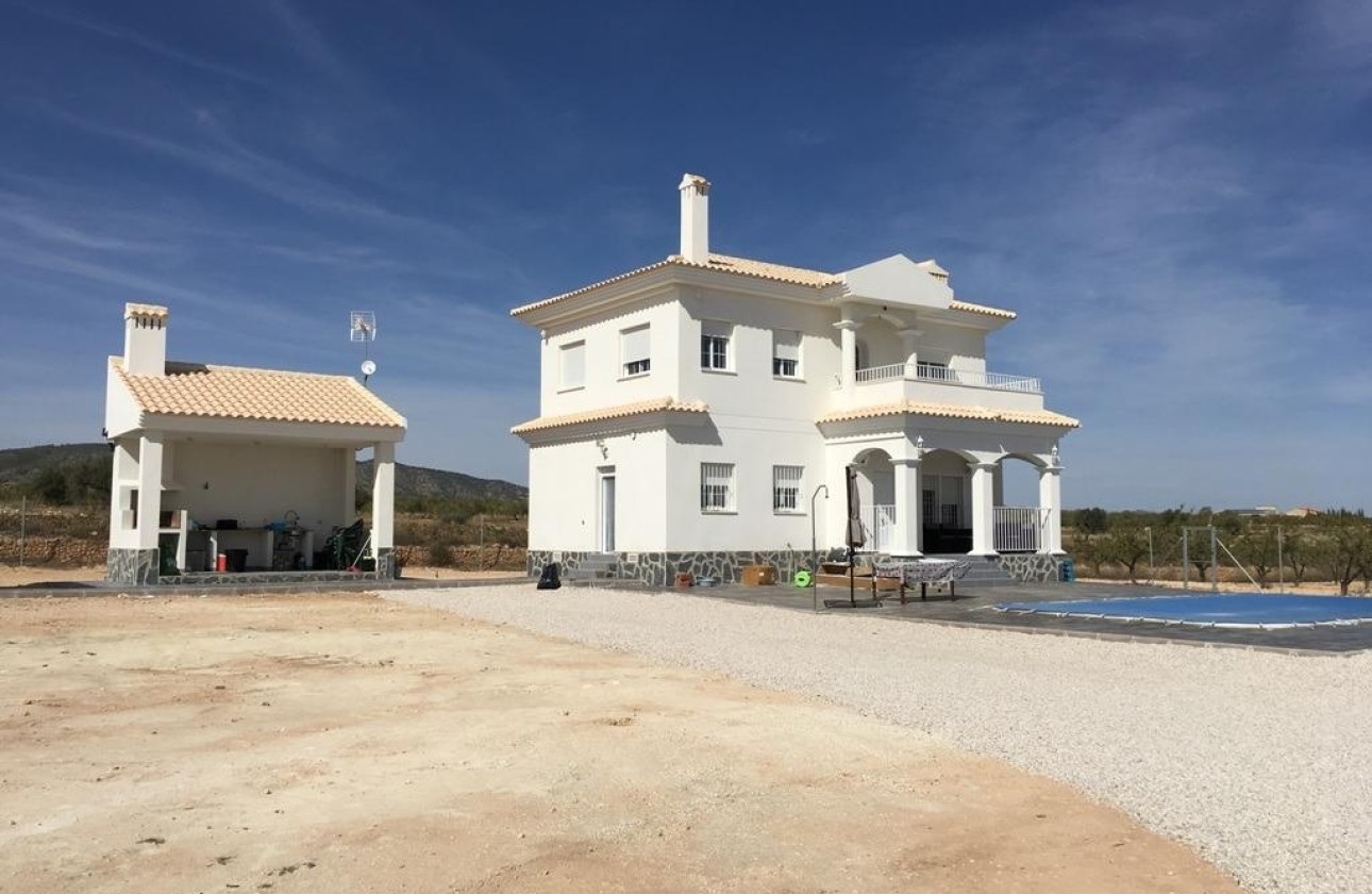 New Build - Freistehende Villa -
Pinoso - Camino Del Prado