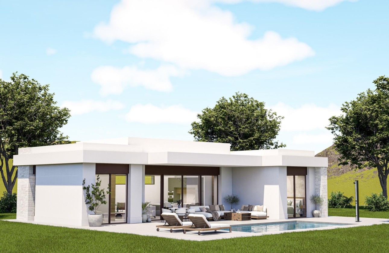 New Build - Freistehende Villa -
Pinoso - Lel