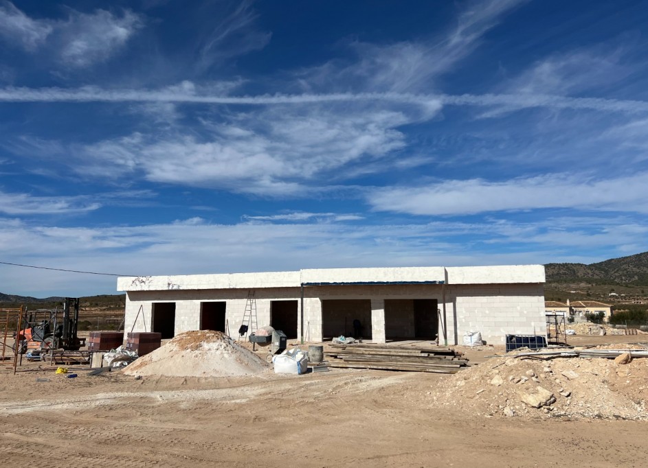 New Build - Freistehende Villa -
Pinoso