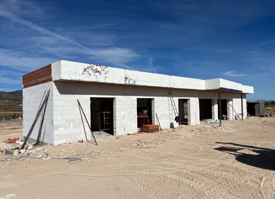 New Build - Freistehende Villa -
Pinoso