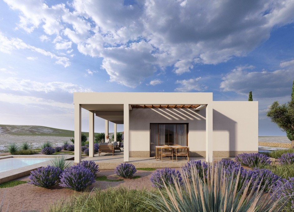 New Build - Freistehende Villa -
Pinoso