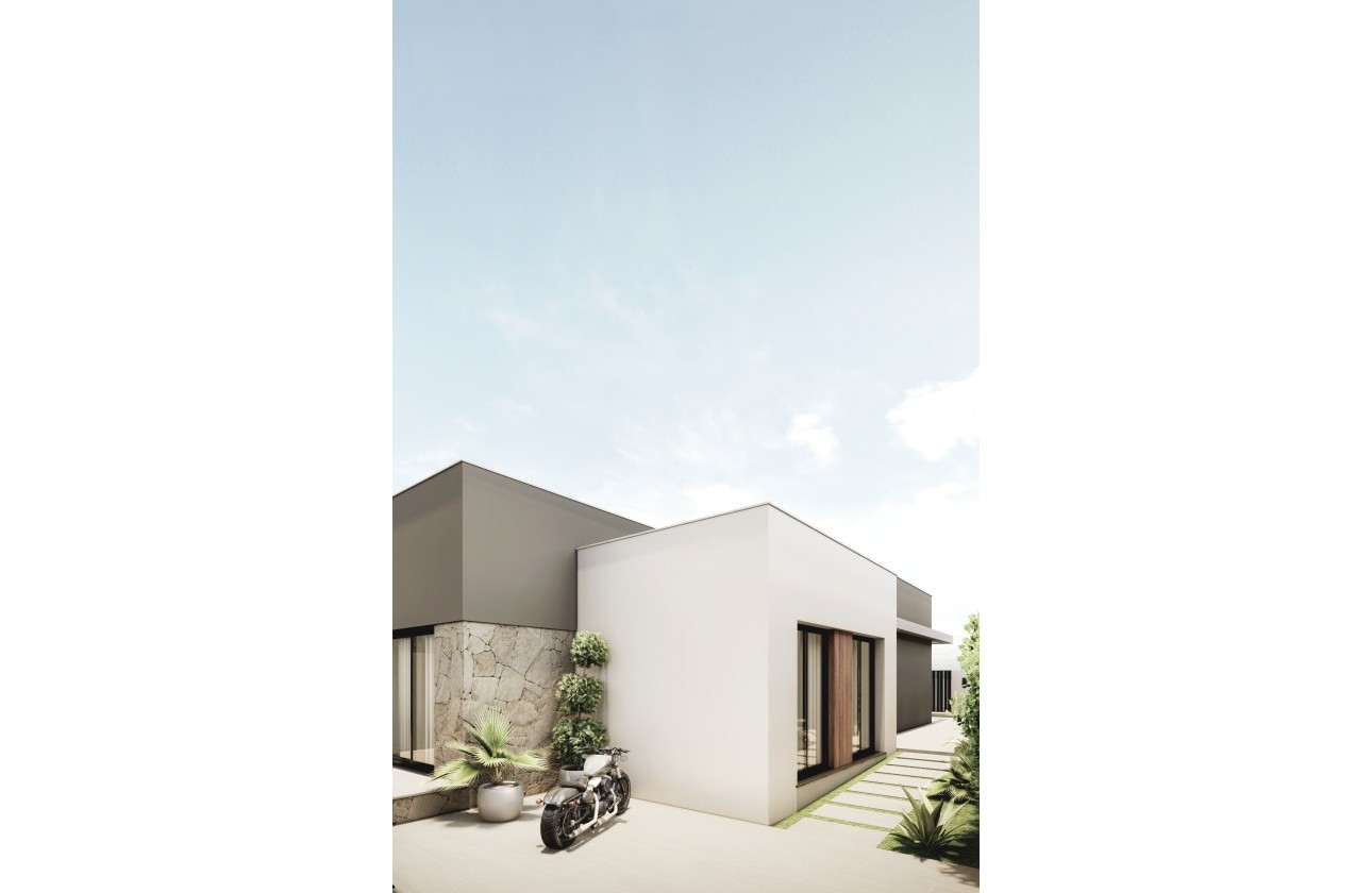 New Build - Freistehende Villa -
San Juan de los Terreros