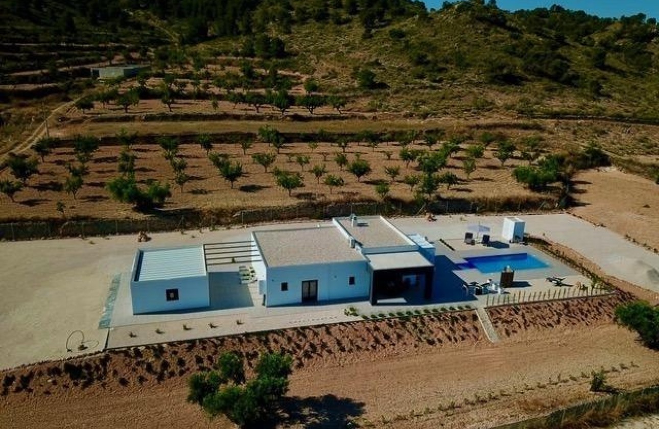 New Build - Freistehende Villa -
Torre del Rico - Torre Del Rico