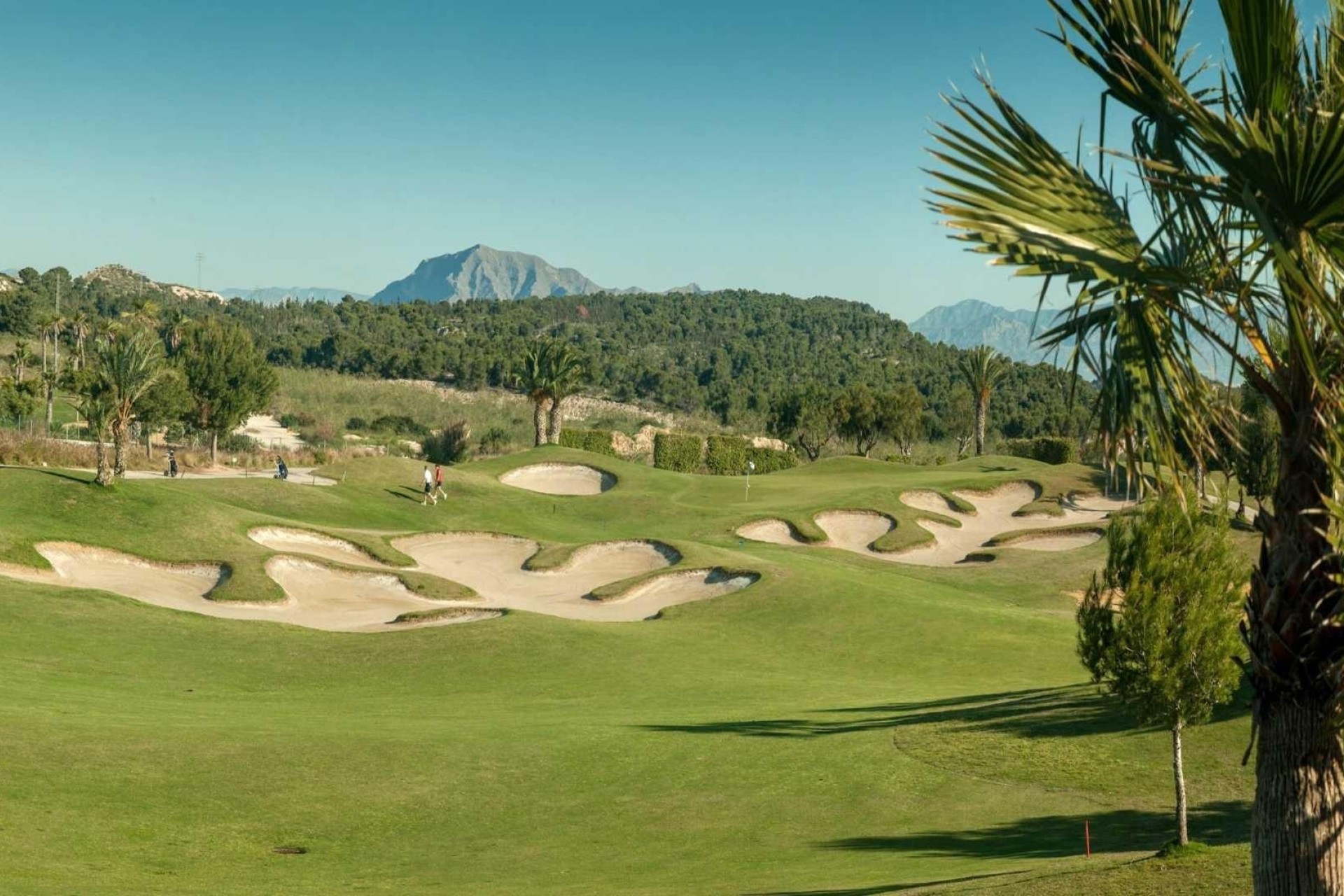 New Build - Town house -
Orihuela - Vistabella Golf