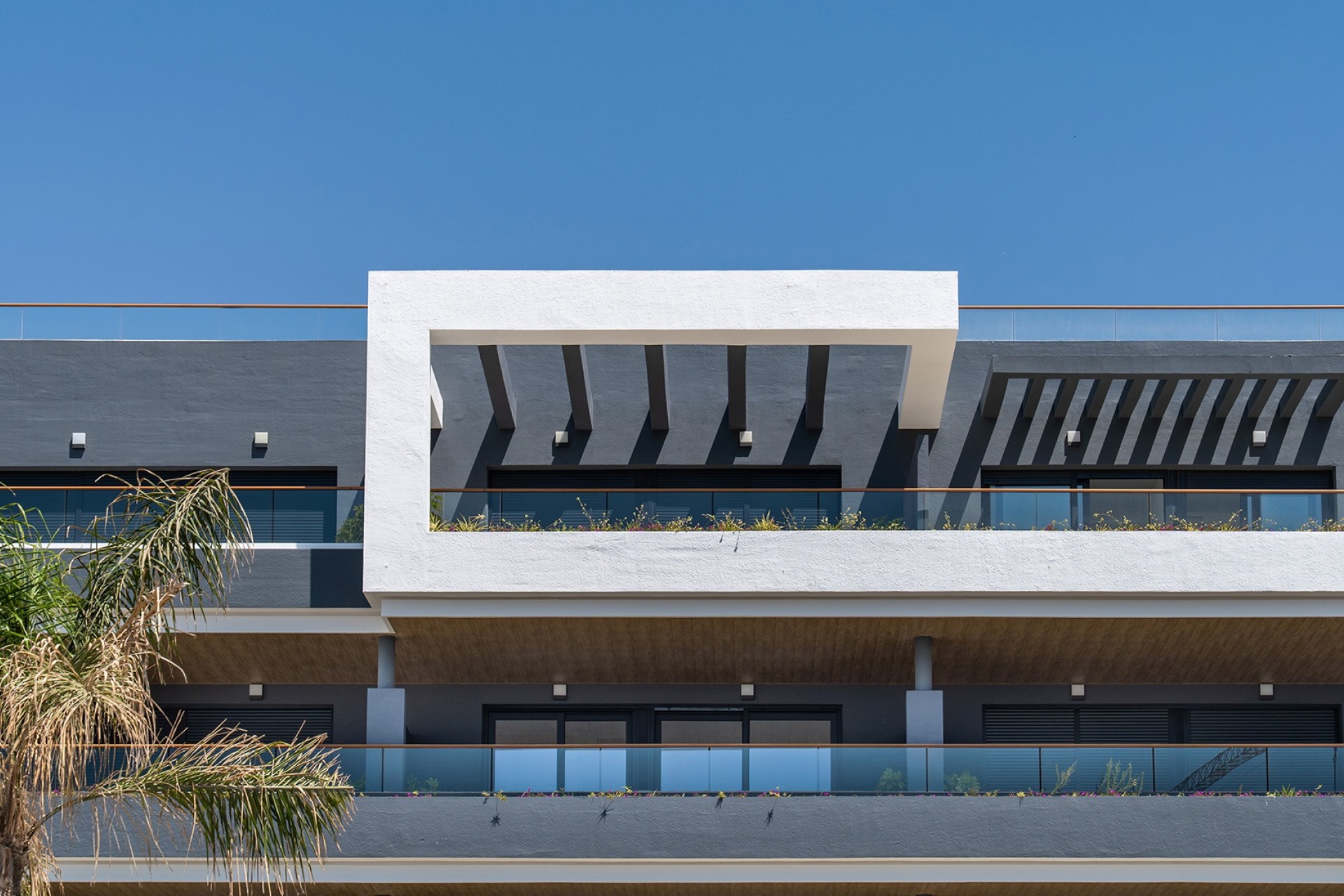 New Build - Wohnung / Apartment -
﻿Torrevieja (Alicante) - Spain