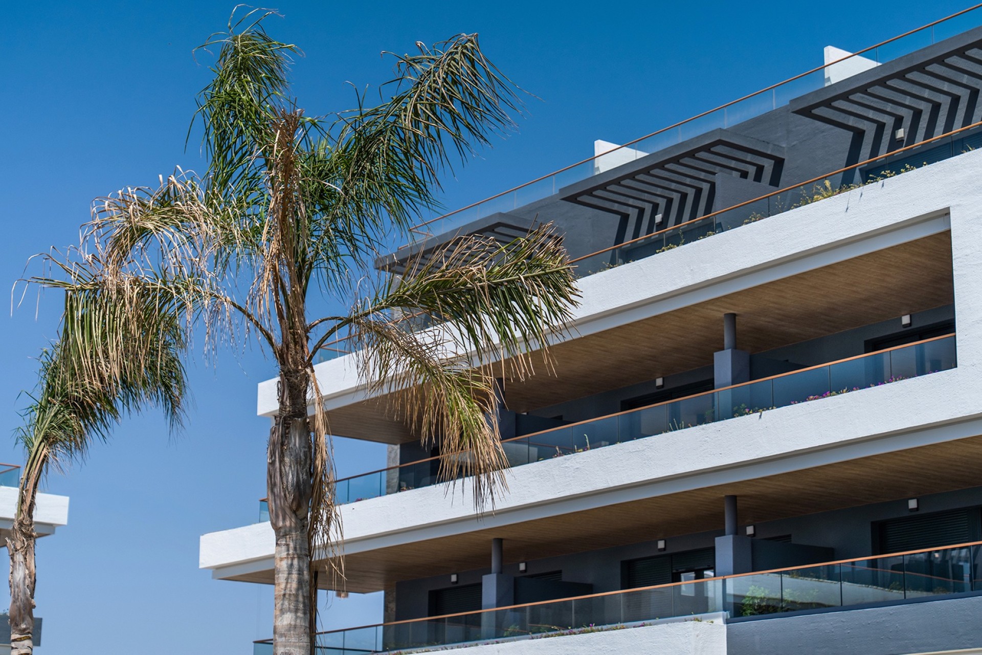 New Build - Wohnung / Apartment -
﻿Torrevieja (Alicante) - Spain