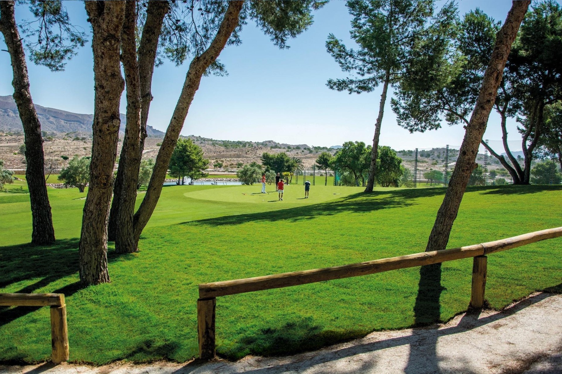 New Build - Wohnung / Apartment -
Monforte del Cid - Alenda Golf