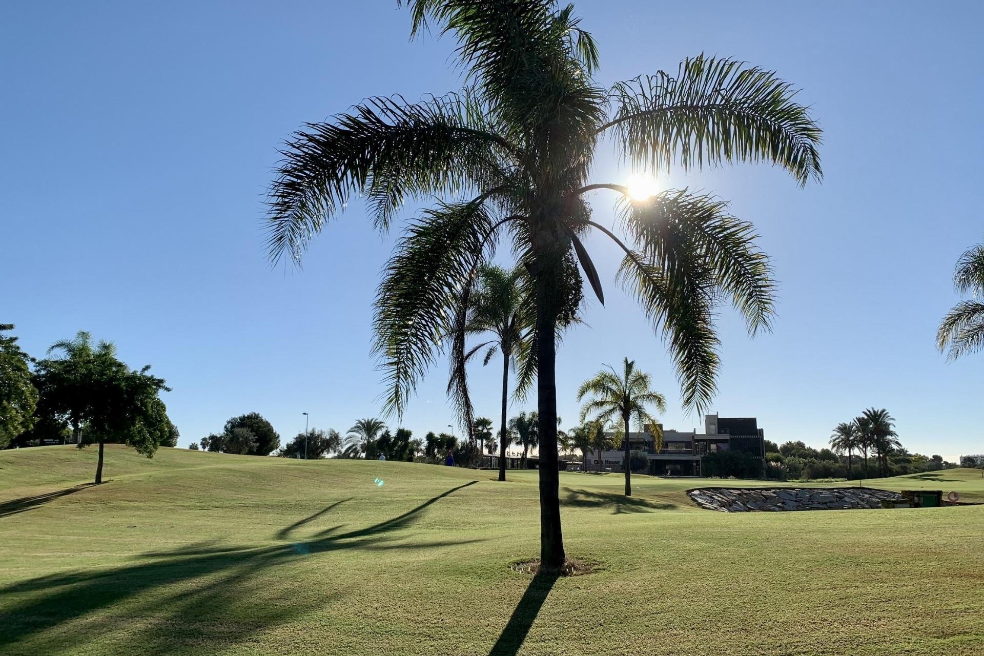 New Build - Wohnung / Apartment -
San Javier - Roda Golf