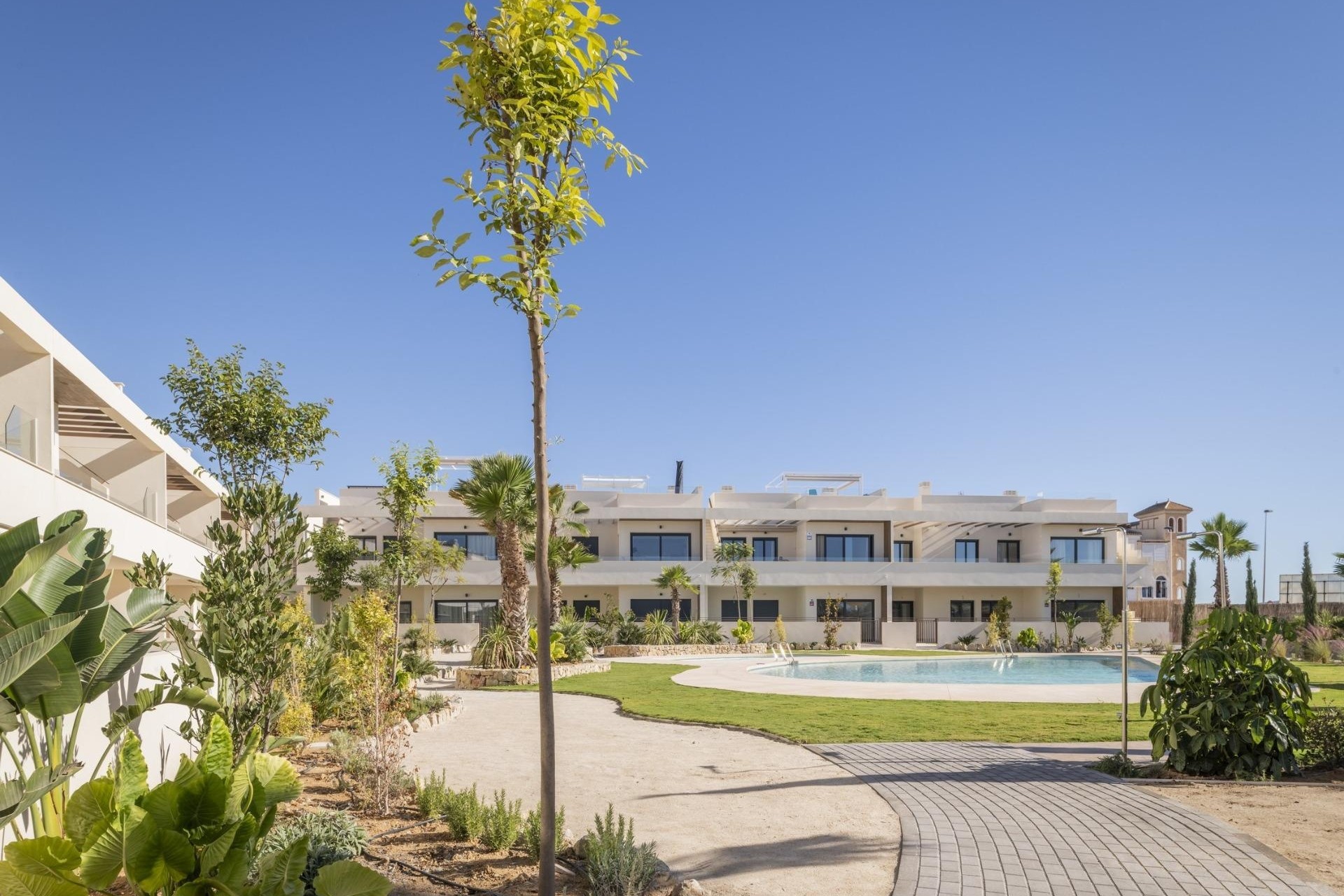 New Build - Wohnung / Apartment -
Torrevieja - Villa Amalia