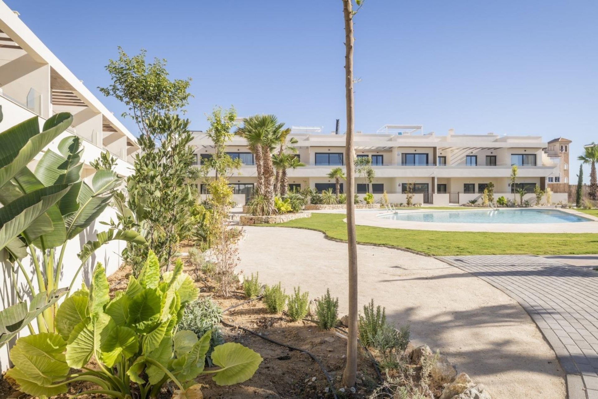 New Build - Wohnung / Apartment -
Torrevieja - Villa Amalia