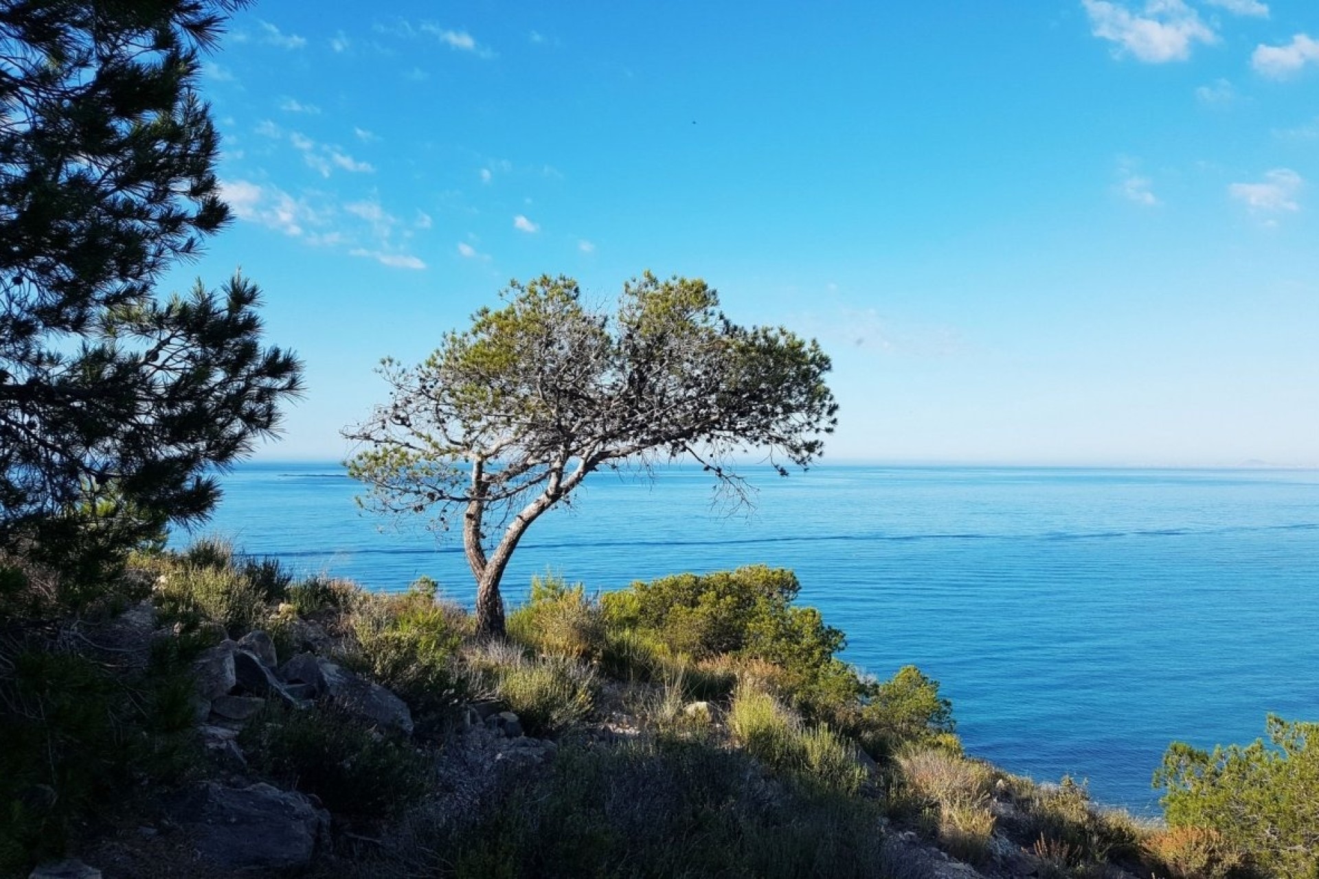 New Build - Wohnung / Apartment -
Villajoyosa - Playa Les Torres