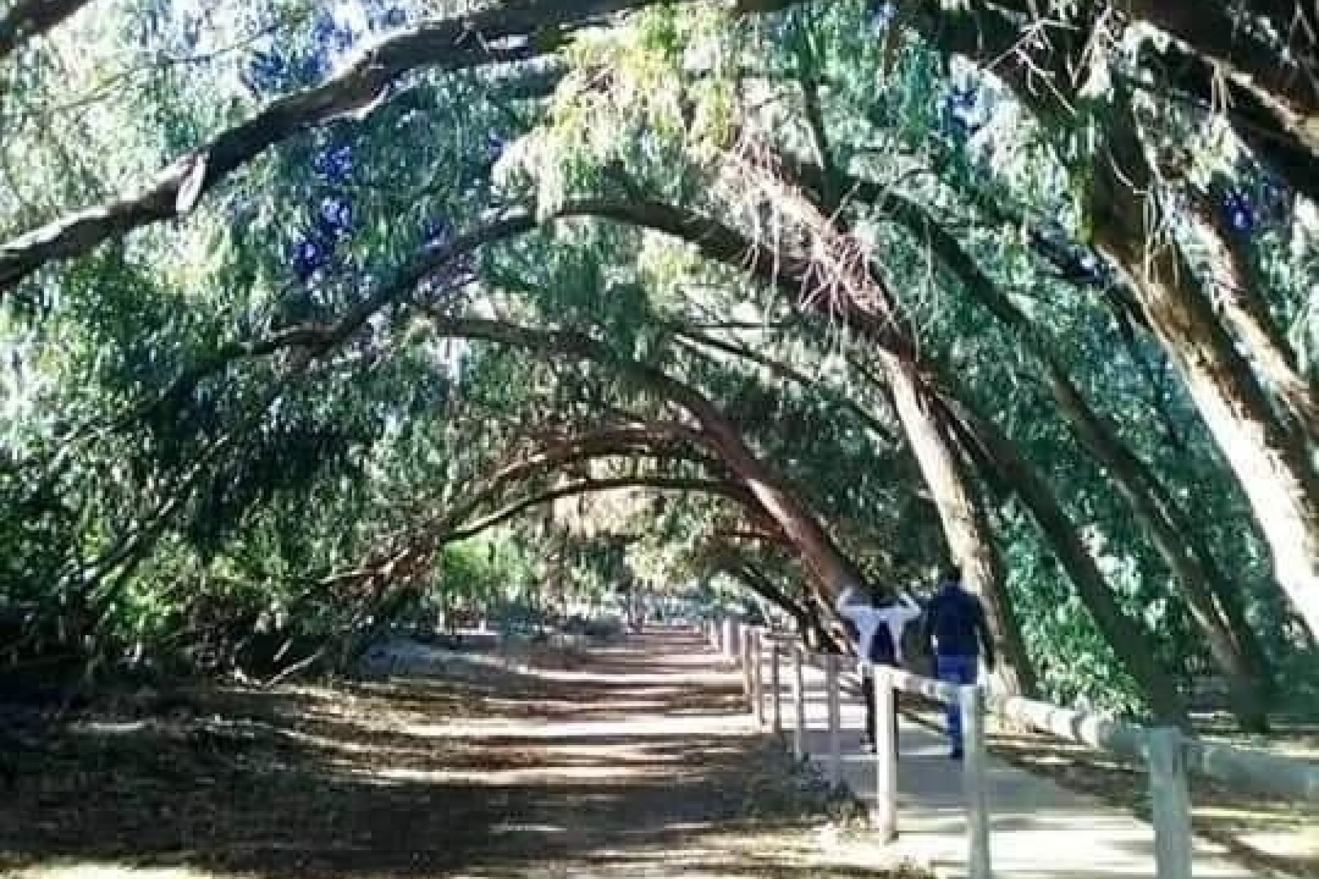 New Build - Wohnung / Appartement -
Torrevieja - Altos del Sol