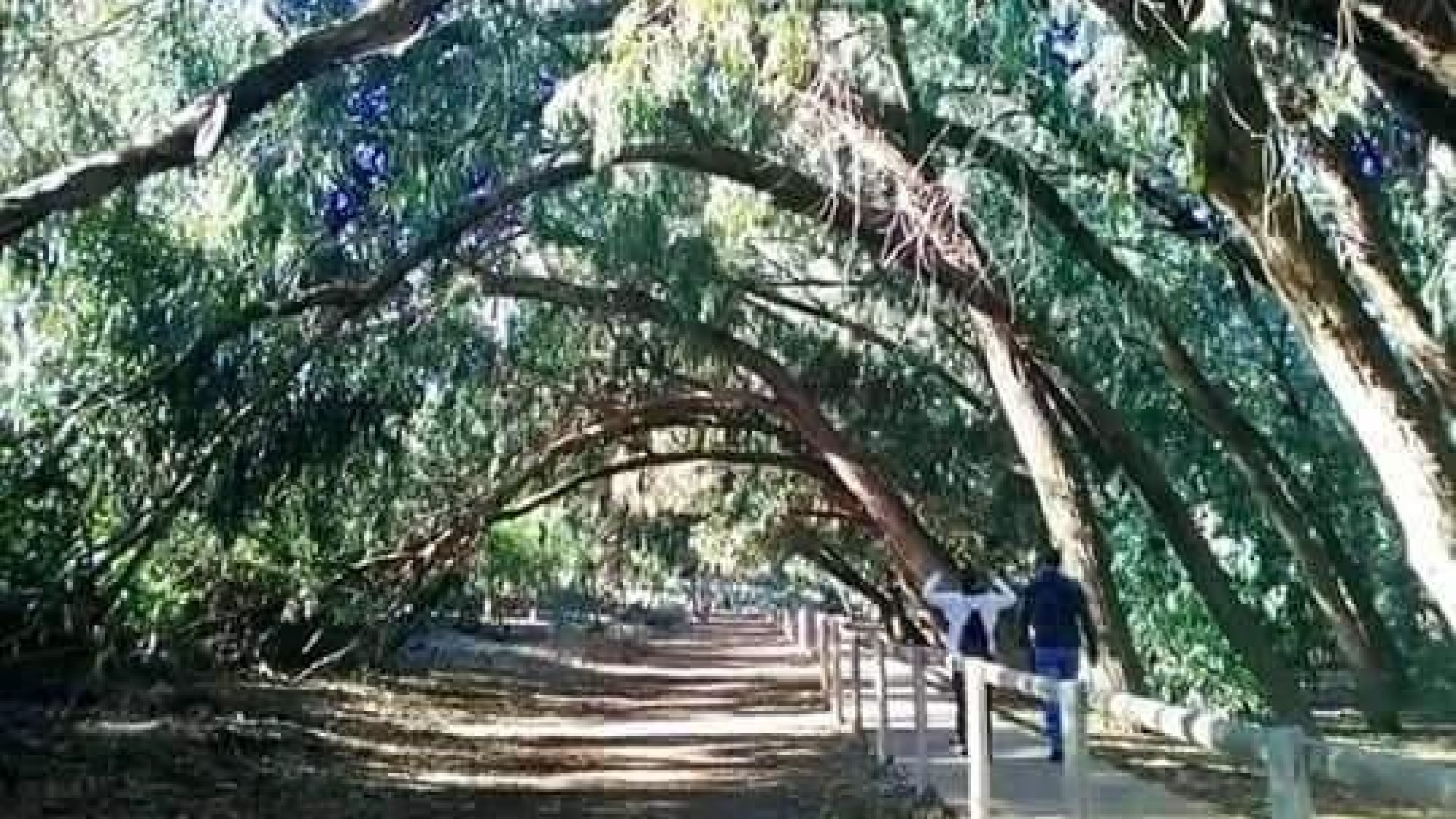 New Build - Wohnung Appartement -
Torrevieja - Altos del Sol